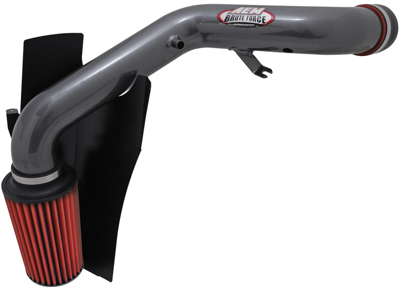 AEM-21-8216DC -- 	AEM Brute Force Intake System