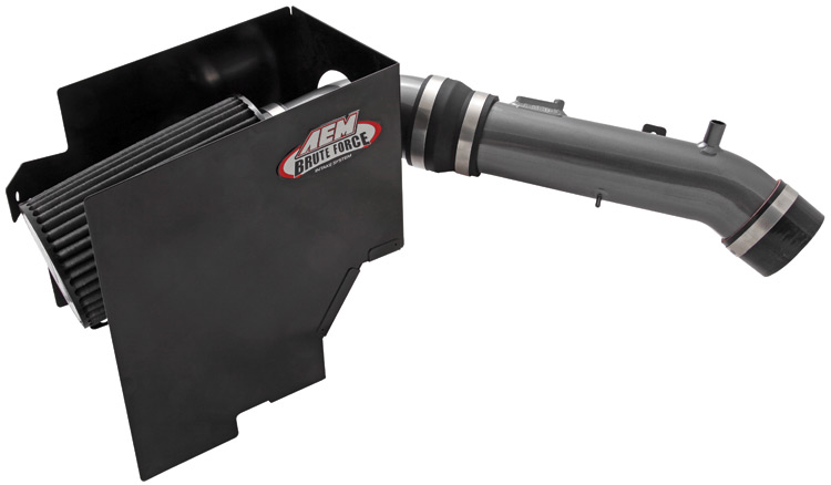 AEM-21-8405DC -- 	AEM Brute Force Intake System